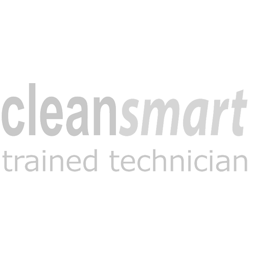 clean smart logo